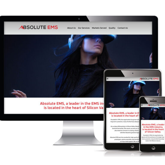 Absolute EMS - web design